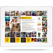 #������������