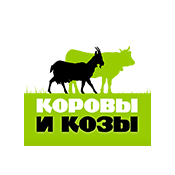 ������� ������ � ����