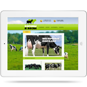 ��������-���� koroviikozi.ru