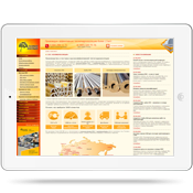 ���� ��Π�����������������